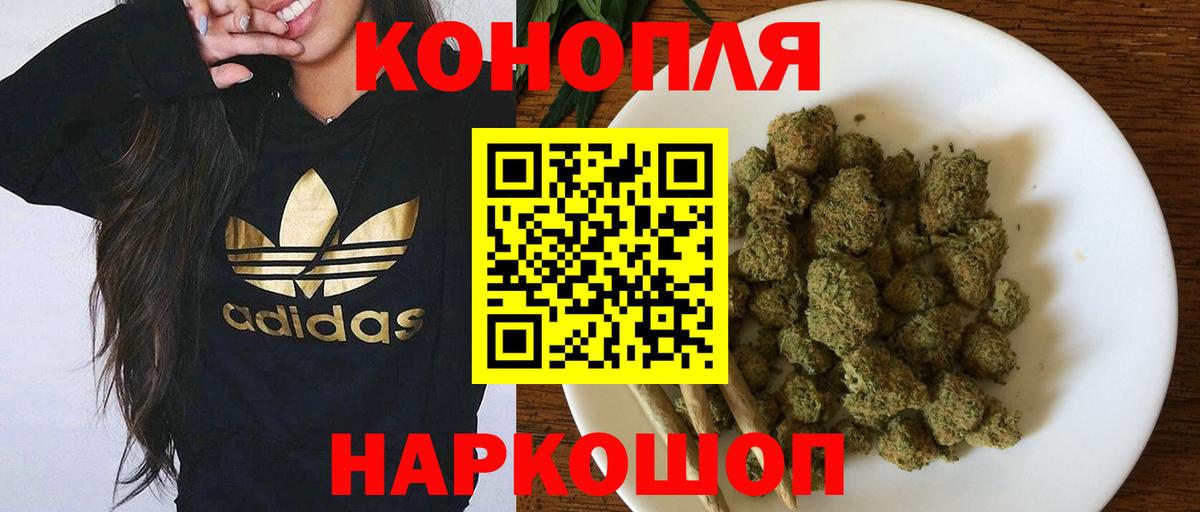 Бошки Шишки семена Псков